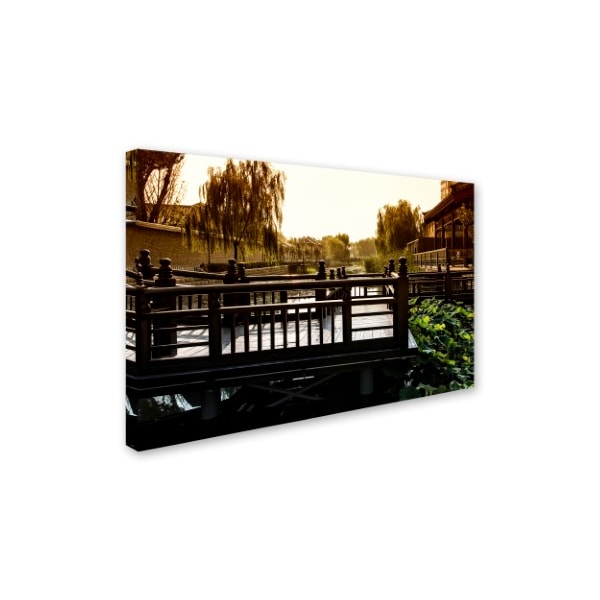 Philippe Hugonnard 'Chinese Walk' Canvas Art,12x19